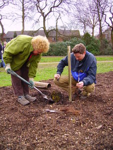 March 07 planting 029